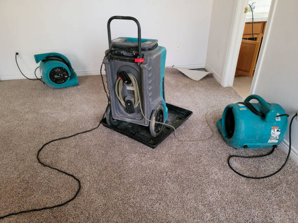 Best Water damage restoration specialists  in Rochelle, IL