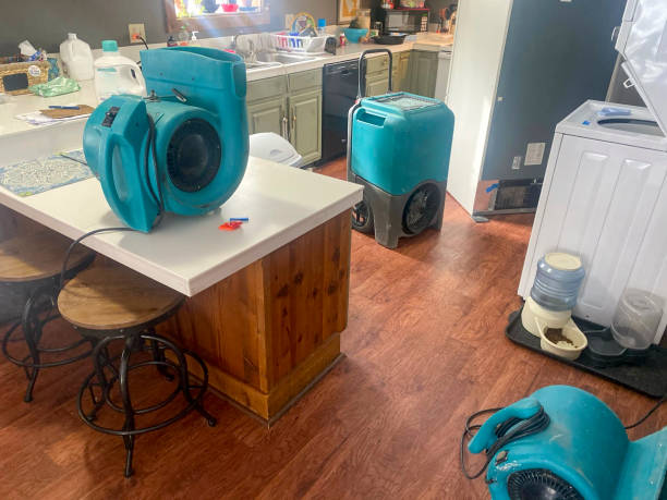 Best Professional water damage repair  in Rochelle, IL