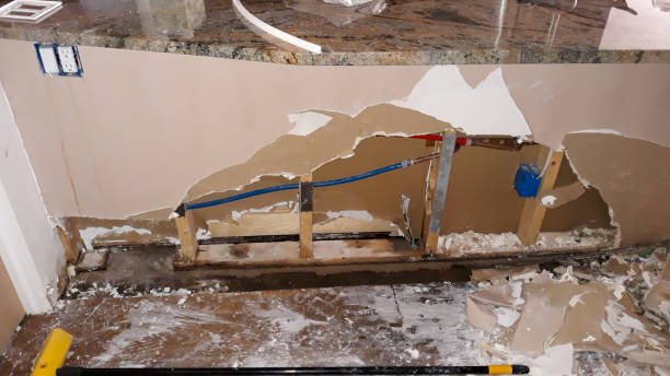 Best Water damage restoration near me  in Rochelle, IL