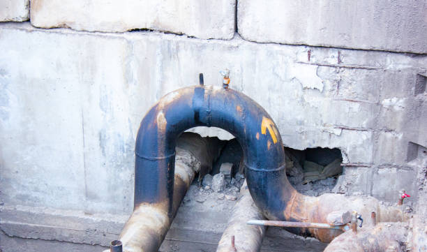 Best Flooded house restoration  in Rochelle, IL