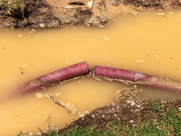 Best 24-hour water damage restoration  in Rochelle, IL