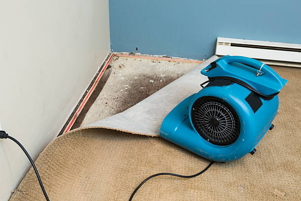 Best Carpet water damage restoration  in Rochelle, IL